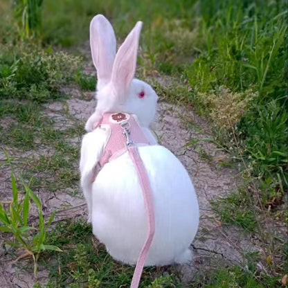 Newest Cute Rabbit Harness and Leash Set