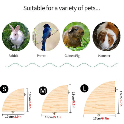 Parrot Bird Wood Perch Stand Platform