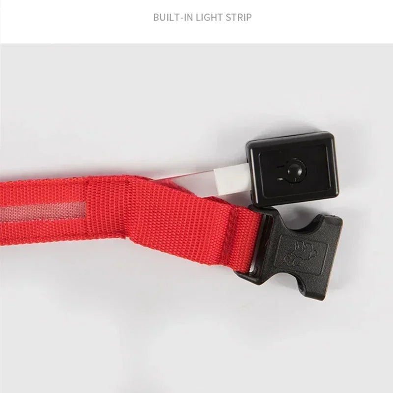 LED Glowing Dog Collar Adjustable Flashing