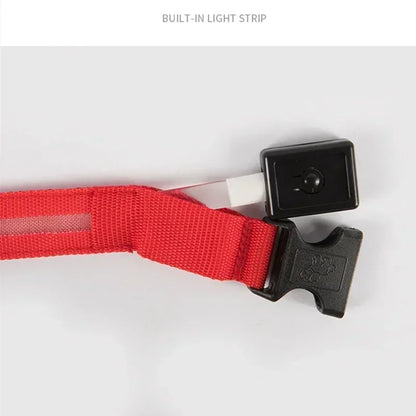 LED Glowing Dog Collar Adjustable Flashing