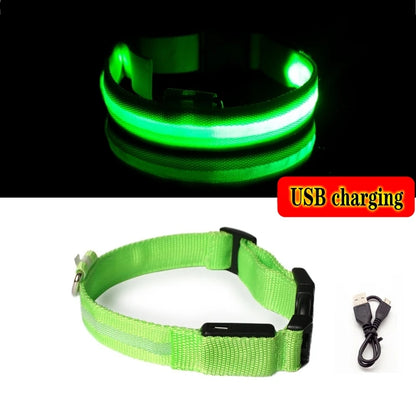 Led Dog Collar Light Anti-lost Collar