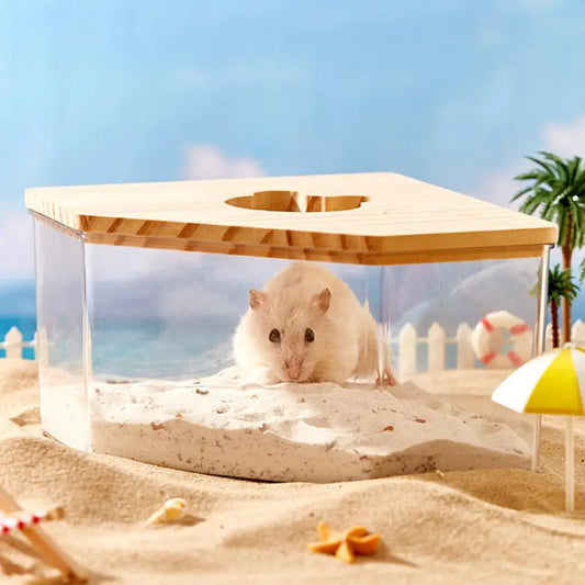 Hamster Golden Bear Sand Bath Box