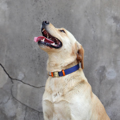 Nylon Custom Dog Puppy Collar Leash Set