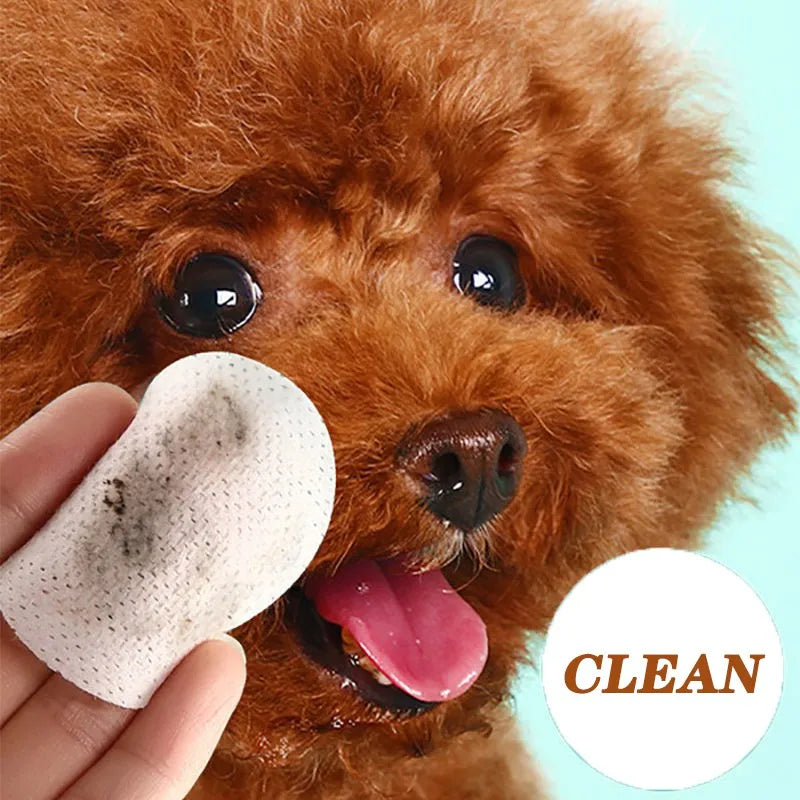 Cats And Dogs Tearmark Wet Wipes