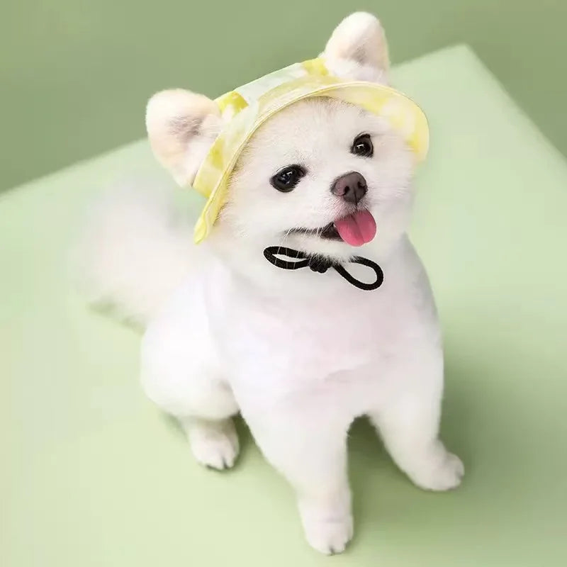 Pet Dog Cat Cap Breathable