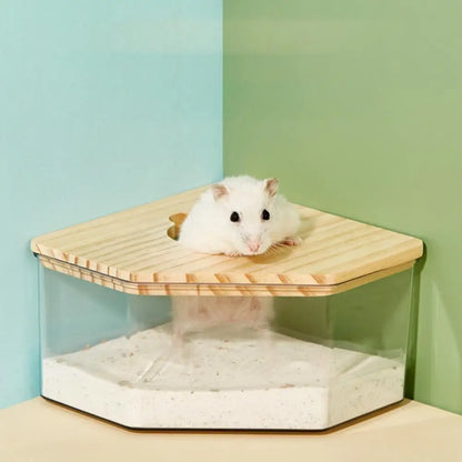 Hamster Golden Bear Sand Bath Box
