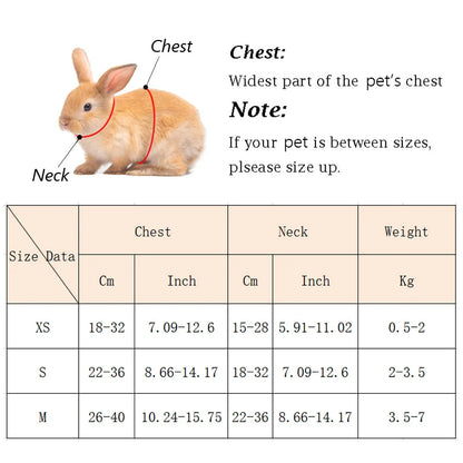 Cute Angel Wing Pet Rabbit Harness