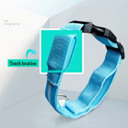 Led Dog Collar Light Anti-lost Collar