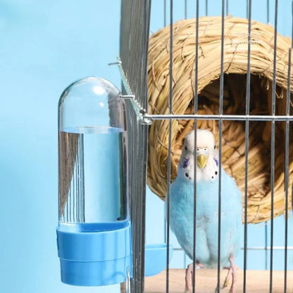 Squirrel Parrot Water Dispenser