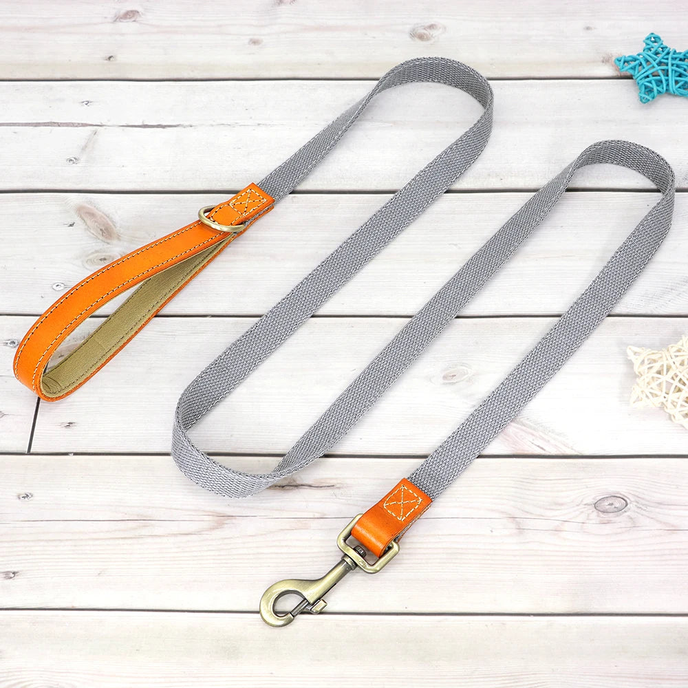 Nylon Custom Dog Puppy Collar Leash Set