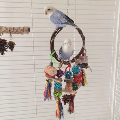 1PC Parrot Toy Biting Toy