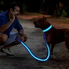 LED Glowing Dog Collar Adjustable Flashing