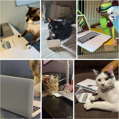 Mini Dollhouse Toy Cat Laptop