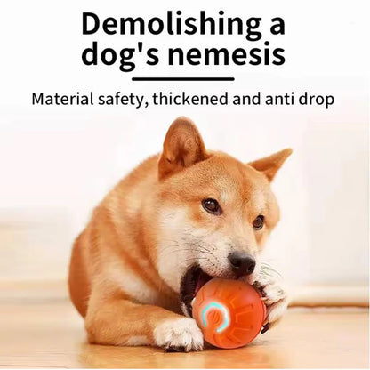 Intelligent pet toy ball electronic