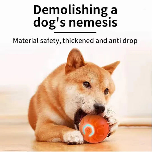 Intelligent pet toy ball electronic