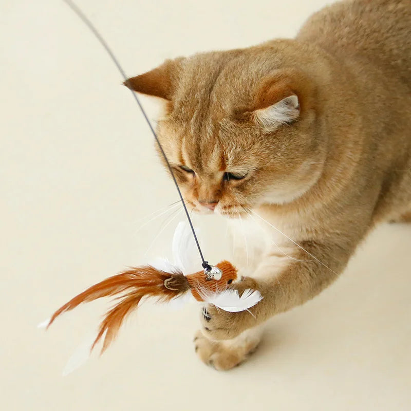 Handfree Bird/Feather Cat Wand with Bell