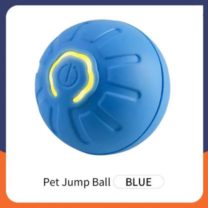 Intelligent pet toy ball electronic