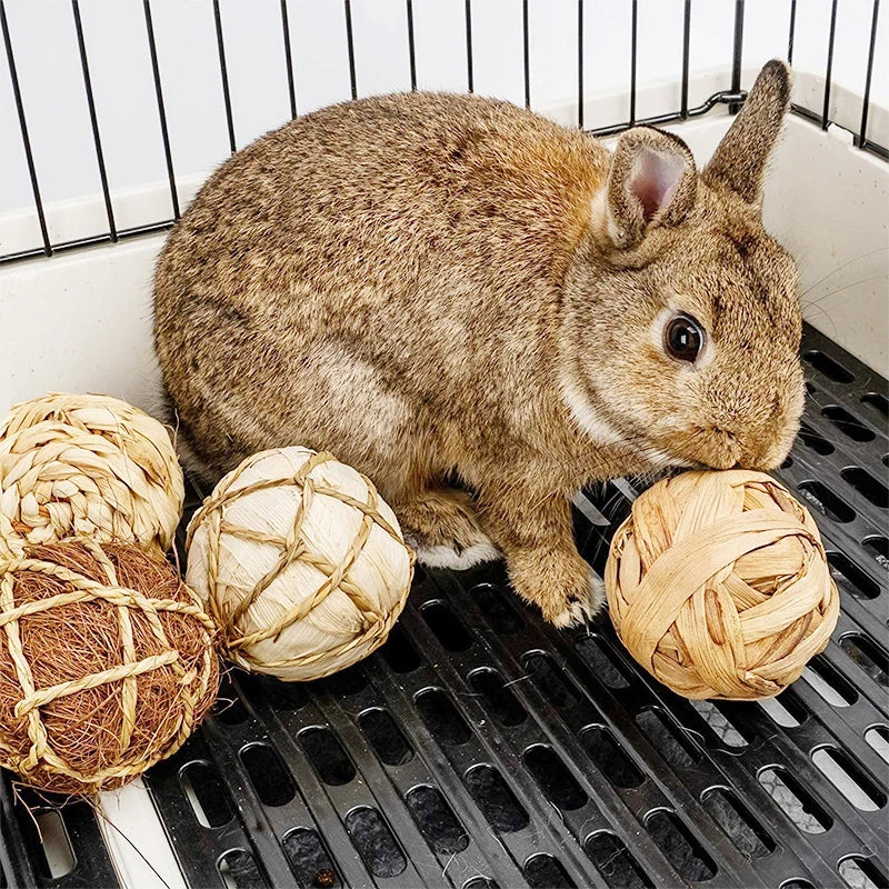 7CM Chewing Braided Ball Guinea Pig