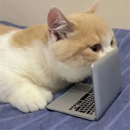 Mini Dollhouse Toy Cat Laptop