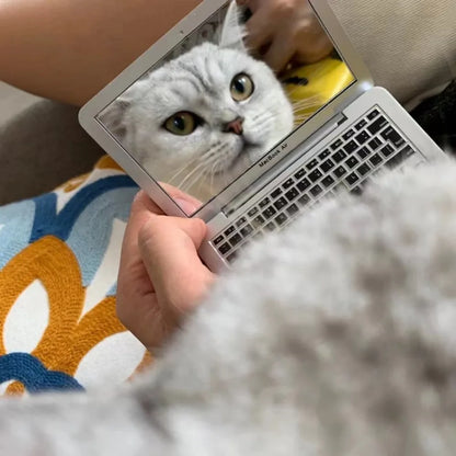 Mini Dollhouse Toy Cat Laptop