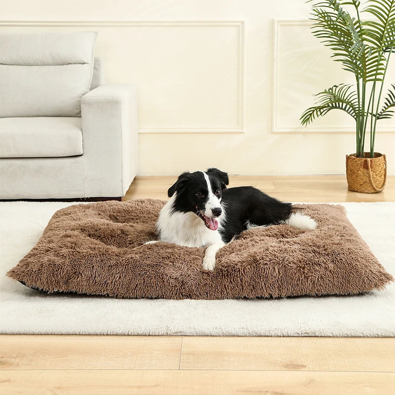 Soft Dog Beds House Soft Long Plush
