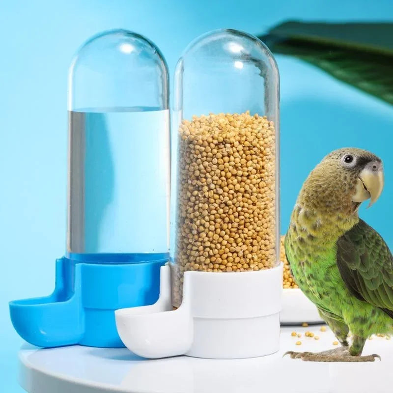 Squirrel Parrot Water Dispenser