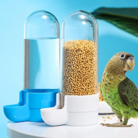 Squirrel Parrot Water Dispenser